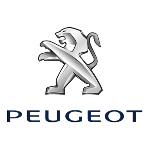 Peugeot Lost Car Key